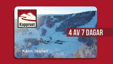 Bild för: 4 av 7 Dagar