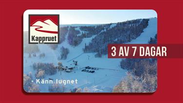 Bild för: 3 av 7 Dagar